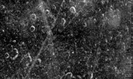 卡西尼探测器收集土卫五信息数据，试着评估曾经轰击太阳系的天体和小型陨石