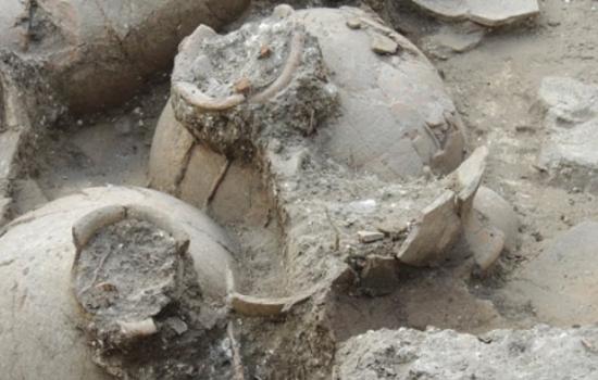 以色列北部发现世界最古老的酒窖？