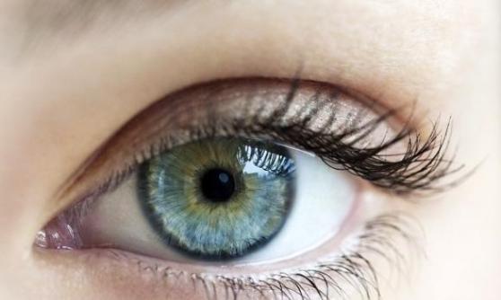 如这技术成功，可望令出现黄斑病变的人恢复视力。