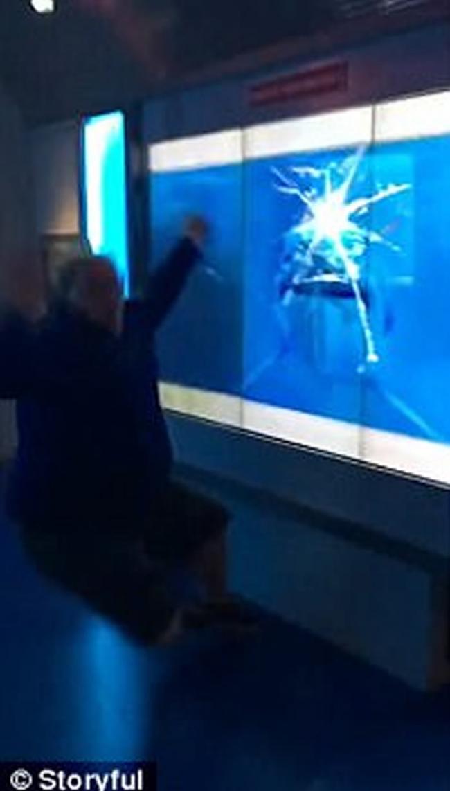 男子参观美国华盛顿国际间谍博物馆鲨鱼缸 被虚拟巨鲨突袭吓到
