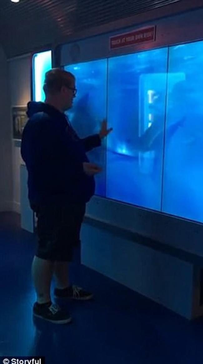 男子参观美国华盛顿国际间谍博物馆鲨鱼缸 被虚拟巨鲨突袭吓到