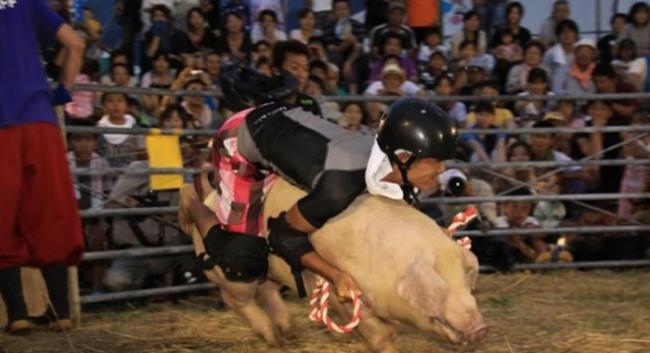 有动物权益组织批评比赛虐待动物。