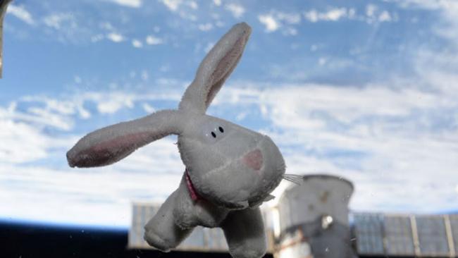 天鹅座货运飞船送来物资 国际太空站太空人欢庆复活节