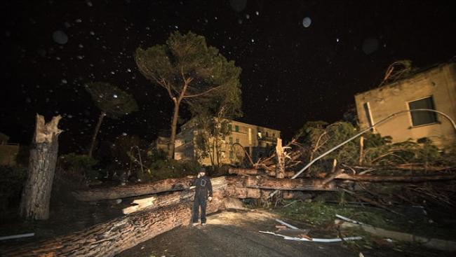 龙卷风肆虐意大利首都罗马西部小镇