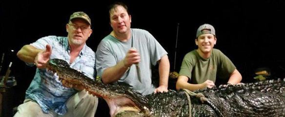 美国阿拉巴马州尤福拉湖捕获408公斤巨鳄