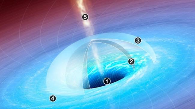 超大质量黑洞的质量可能达到太阳的数十亿倍，而它们的起源至今仍是未解之谜。 JASON TREAT AND ALEXANDER STEGMAIER, NGM ST