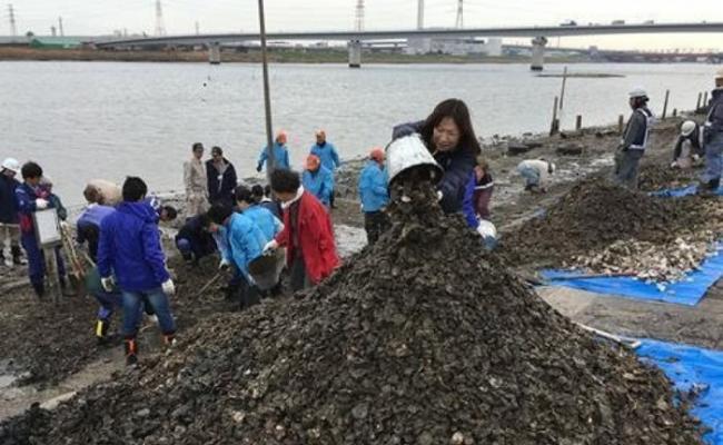 河边堆积大量蚝壳。
