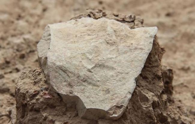 在肯尼亚出土的石制工具之一，据估计距今330万年。