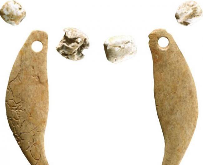 四只贝珠和两个熊牙雕件串成的项链，与一只幼年山猫骸骨一同发现于伊利诺伊州一墓葬。