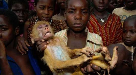 痛心一幕：非洲莫桑比克小孩出售被捕捉到的惊恐黄狒狒