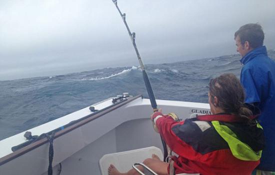 新西兰56岁女渔夫捕获411.6千克太平洋蓝鳍金枪鱼 或打破世界纪录