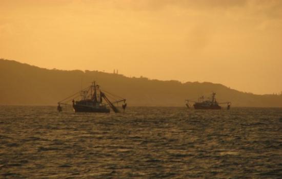 澳大利亚海岸的拖渔船