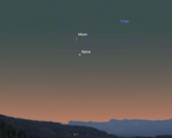 这个插图显示的是8月30日（星期六）黄昏时分的西南方天空，此时，蛾眉月位于明亮的室女座星「角宿一」（Spica）上方。 Courtesy of SkySafar