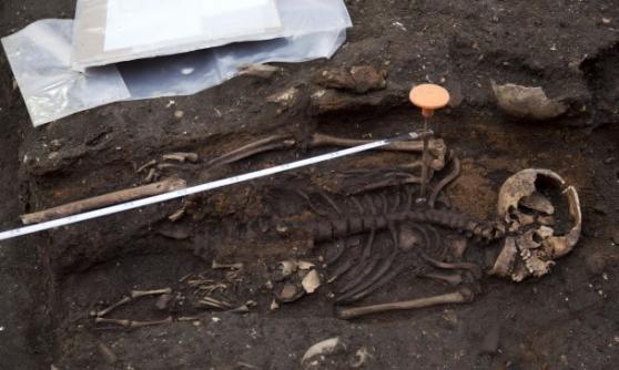 考古学家在该墓地遗址起出3千具骸骨
