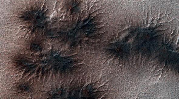 图中显示的为火星极区物质喷发形成的 “蜘蛛”地貌