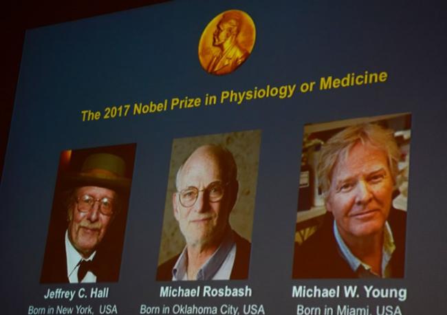 三位科学家一同得奖。