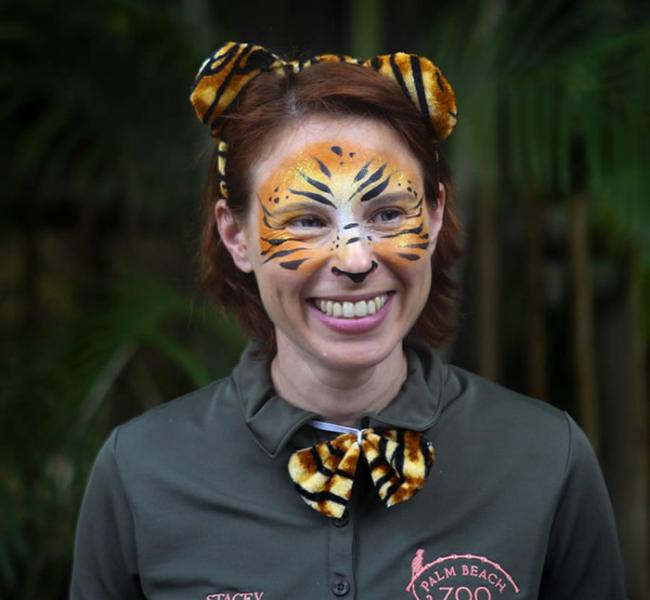 美国佛罗里达州棕榈湾动物园女饲养员在表演前喂食马来虎却惨死虎口