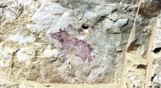 岩画中猪的图形，在贵州省属首次发现