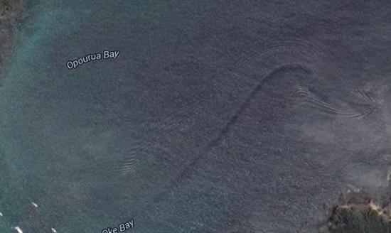 Google Earth在新西兰海域拍到疑似巨大水怪照