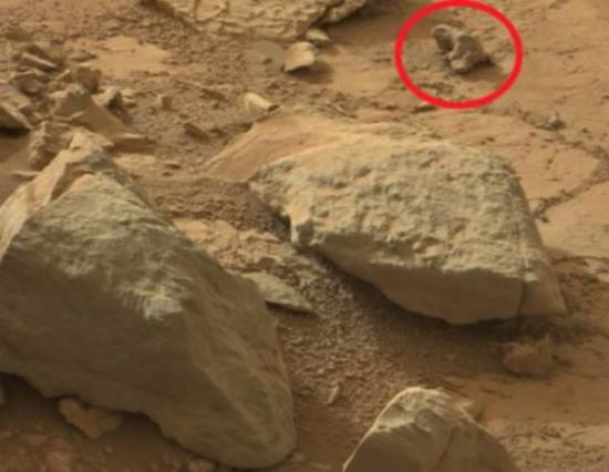 这张照片显示，右上方有块鬣蜥蜴状岩石。它会很容易被人忽视，但目光犀利的瓦林在火星好奇号漫游器拍摄的几张照片中发现了这块岩石。