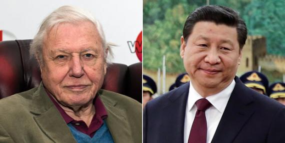 英国知名生物学家致信中国国家主席习近平呼吁协助结束中国停止象牙贸易