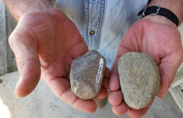 科学家瑞德?菲林展示一些有可能做为投掷武器的石头。 Photograph by Paul Salopek