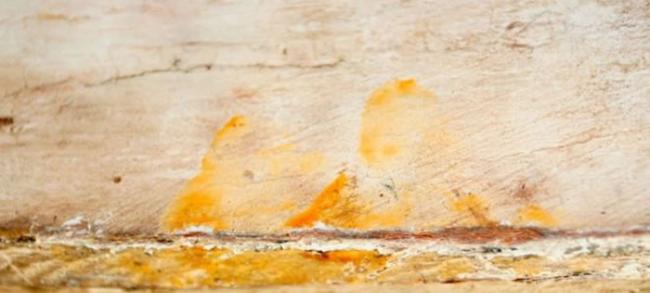 古埃及棺木上有3千年前木工上漆留下的指纹