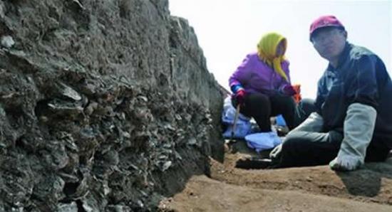 青岛市即墨北阡贝丘遗址展开第四次考古发掘