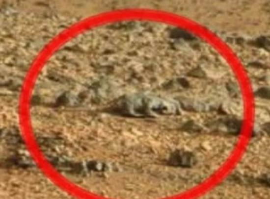 “火星老鼠”和“火星蜥蜴”实为火星岩石