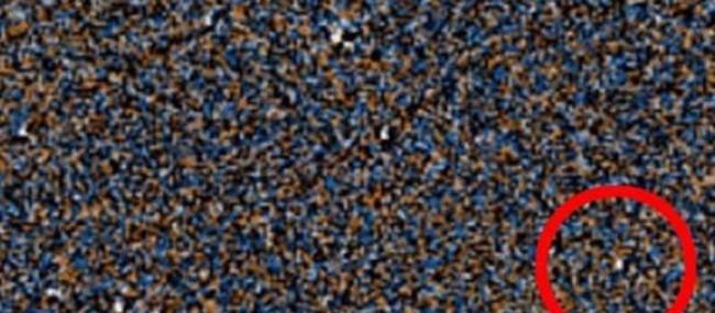 澳洲业余天文学家利用“Backyard Worlds:Planet 9”在距离地球一百光年发现新棕矮星