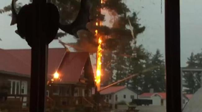 加拿大魁北克省大树被雷电击中形成强光 场面震撼