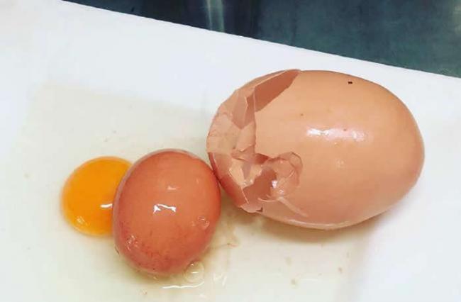 澳洲昆士兰巨大鸡蛋打破后里面居然还有一个完整带壳的鸡蛋