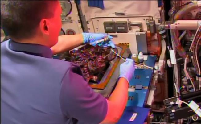 太空人正采集“太空生菜”。