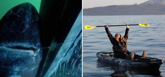 瑞典男子一竿钓起565公斤巨鲨 刷新世界纪录