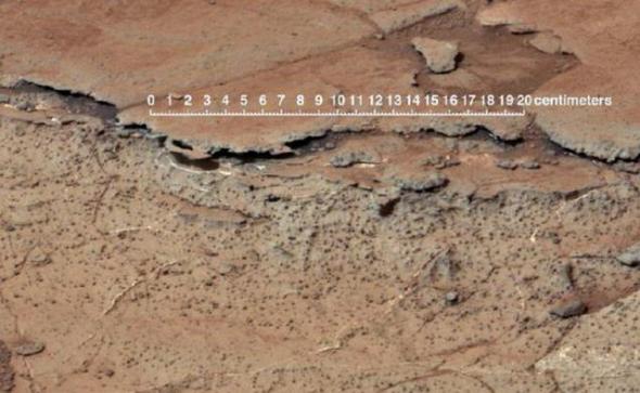“好奇号”火星车最新发现火星加勒陨坑远古土壤与地球土壤非常相似，暗示着远古时期火星可能存在生命。