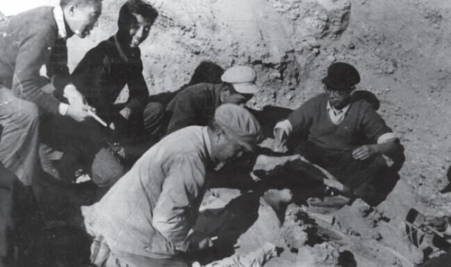 1954年丁村犀牛化石发掘现场（前排面向右者为裴文中教授，对面戴眼镜者为贾兰坡教授，后排左起分别是程玉树、王建、付子安）