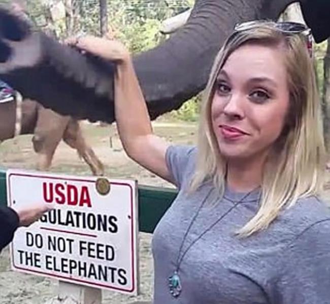 美国动物园大象不愿上镜 用鼻击退自拍女子