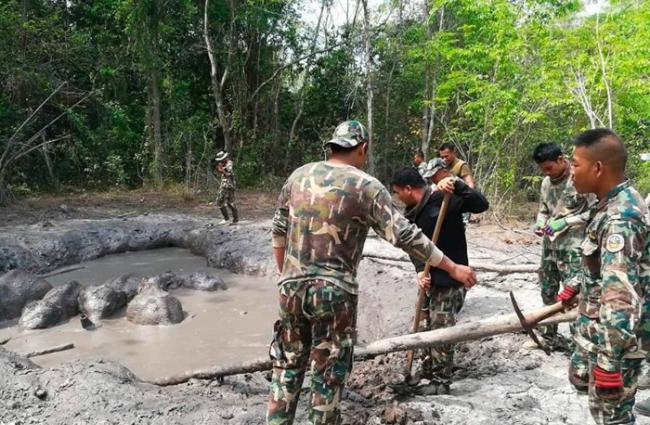 泰国呵叻府6只小象困他布兰国家公园泥沼 巡逻人员花5小时拯救