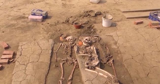 南科遗址工程挖掘出的人类骨骸