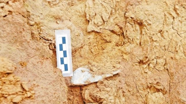 灵宝贾村旧石器地点发现的人工石器