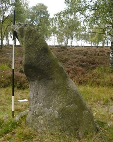 英国曼彻斯特一块史前“葛顿角石”或具有天文意义