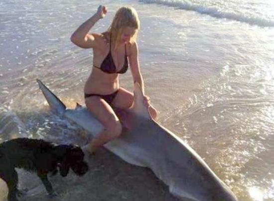 澳洲少女骑上一条3米长搁浅死亡的鲨鱼身上作状殴打