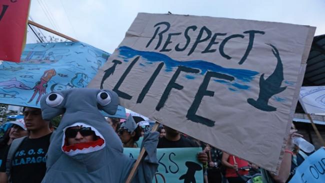 民众呼吁尊重及保护海洋生态。