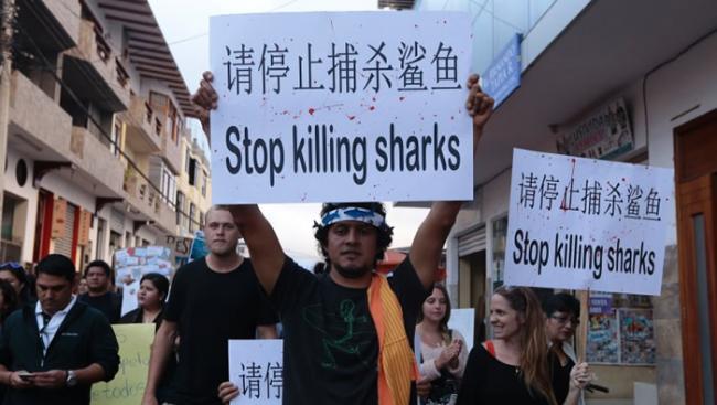 示威民众高举“请停止捕杀鲨鱼”等横额。