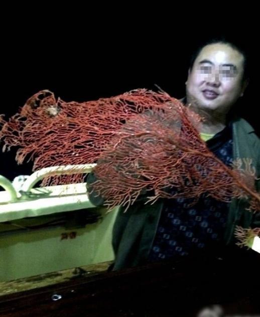 有旅客在西沙采集罕有的红珊瑚