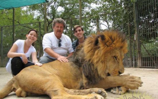 阿根廷动物园被控“迷昏”狮子逼与游客合照