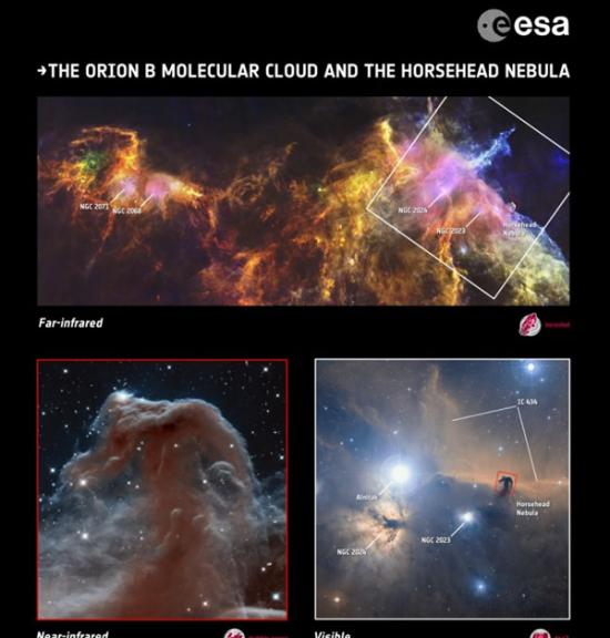 哈勃望远镜捕捉到的壮观马头星云