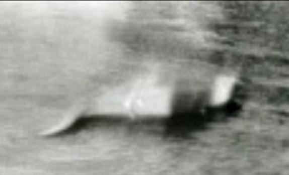 1933年发表在每日快报的尼斯湖水怪照片