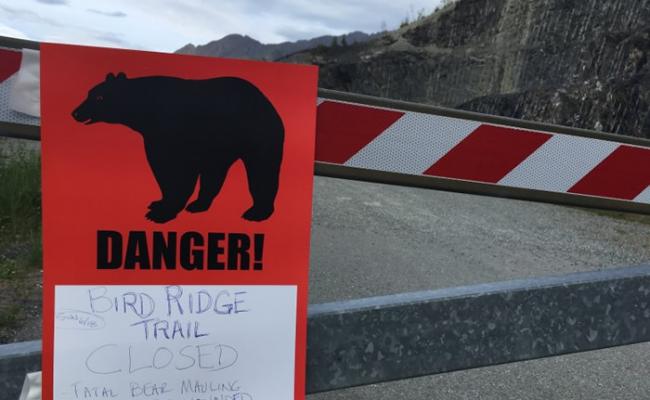 阿拉斯加有人贴出告示，提醒民众小心黑熊。