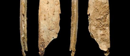 尼安德特人遗址发现欧洲最古老的专用骨器